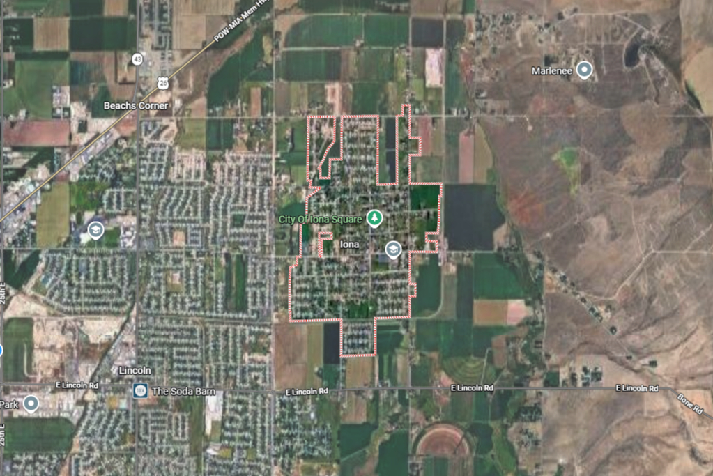 Ball-of-Roots-pulled-out-by-Snake